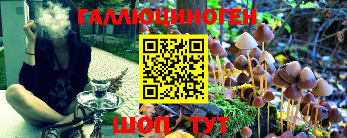 Галлюциногенные грибы Psilocybine cubensis  Вход с VPN  Киреевск  Псилоцибиновые грибы Psilocybine cubensis 